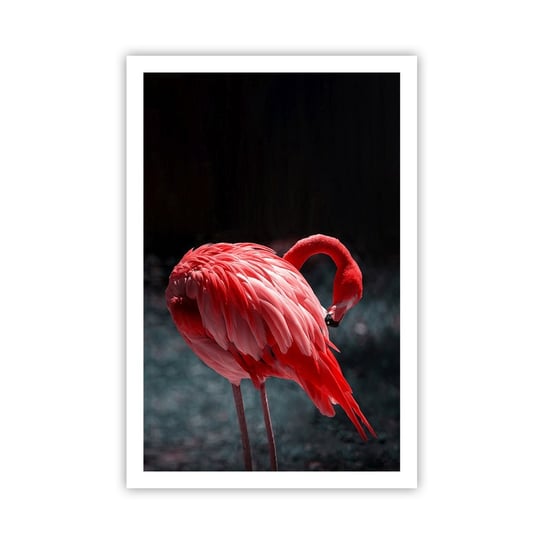 Obraz - Plakat - Karmazynowy poemat natury - 61x91cm - Flaming Ptak Natura - Foto Plakaty na ścianę bez ramy - Plakat do Salonu Sypialni ARTTOR ARTTOR