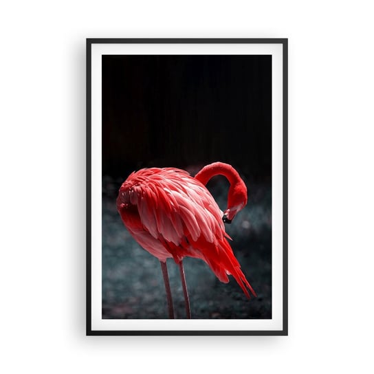 Obraz - Plakat - Karmazynowy poemat natury - 61x91cm - Flaming Ptak Natura - Foto Plakaty na ścianę w czarnej ramie - Plakat do Salonu Sypialni ARTTOR ARTTOR