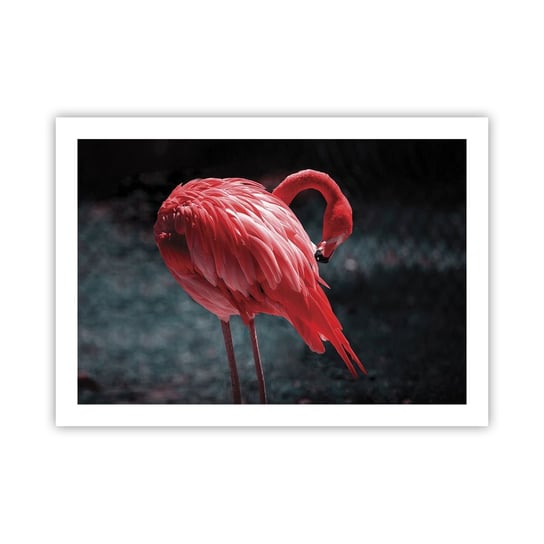 Obraz - Plakat - Karmazynowy poemat natury - 70x50cm - Flaming Ptak Natura - Nowoczesny modny obraz Plakat bez ramy do Salonu Sypialni ARTTOR ARTTOR