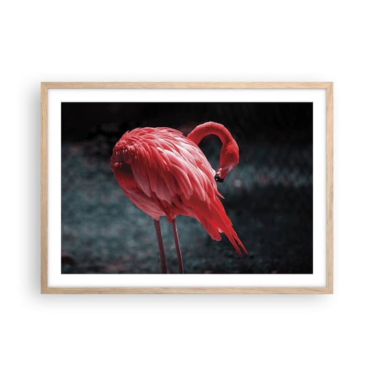 Obraz - Plakat - Karmazynowy poemat natury - 70x50cm - Flaming Ptak Natura - Nowoczesny modny obraz Plakat rama jasny dąb ARTTOR ARTTOR
