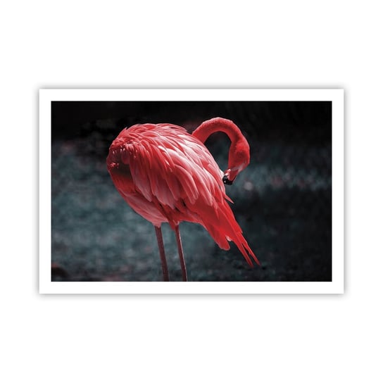 Obraz - Plakat - Karmazynowy poemat natury - 91x61cm - Flaming Ptak Natura - Foto Plakaty na ścianę bez ramy - Plakat do Salonu Sypialni ARTTOR ARTTOR