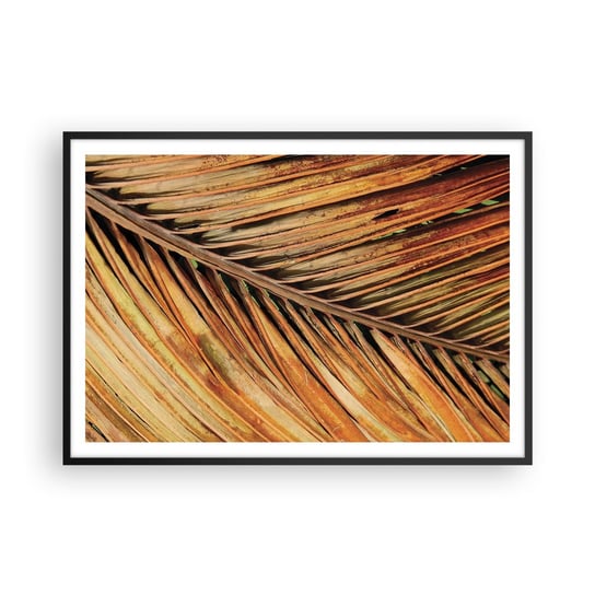 Obraz - Plakat - Kokosowe złoto - 100x70cm - Palma Kokosowa Liście Palmy Dżungla - Foto Plakaty w ramie koloru czarnego do Salonu Sypialni ARTTOR ARTTOR