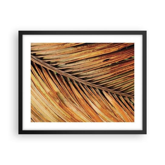 Obraz - Plakat - Kokosowe złoto - 50x40cm - Palma Kokosowa Liście Palmy Dżungla - Foto Plakaty w ramie koloru czarnego do Salonu Sypialni ARTTOR ARTTOR