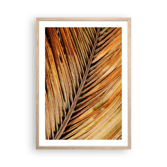 Obraz - Plakat - Kokosowe złoto - 50x70cm - Palma Kokosowa Liście Palmy Dżungla - Nowoczesny modny obraz Plakat rama jasny dąb ARTTOR ARTTOR