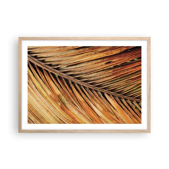 Obraz - Plakat - Kokosowe złoto - 70x50cm - Palma Kokosowa Liście Palmy Dżungla - Nowoczesny modny obraz Plakat rama jasny dąb ARTTOR ARTTOR