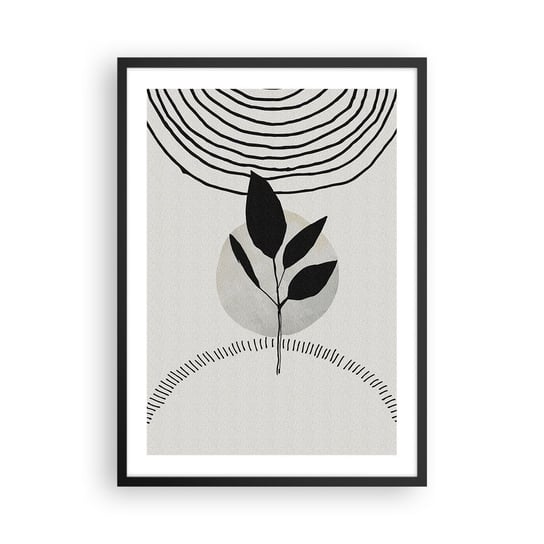 Obraz - Plakat - Kompozycja: rytuały natury - 50x70cm - Roślina Słońce Rośnie - Nowoczesny modny obraz Plakat czarna rama ARTTOR ARTTOR