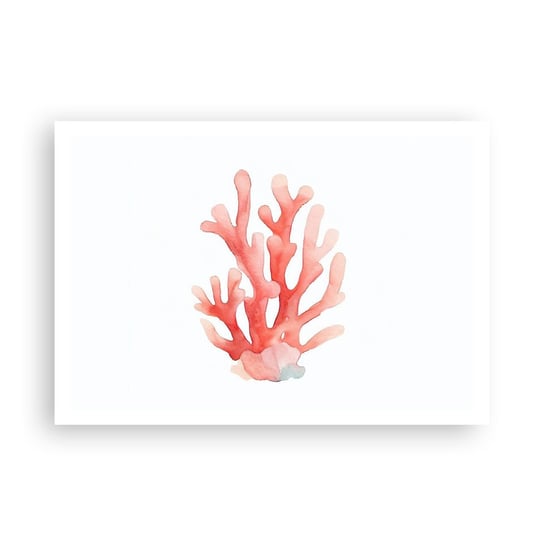 Obraz - Plakat - Koral koloru koralowego - 100x70cm - Rafa Koralowa Nadmorski Minimalizm - Foto Plakaty bez ramy na ścianę do Salonu Sypialni ARTTOR ARTTOR