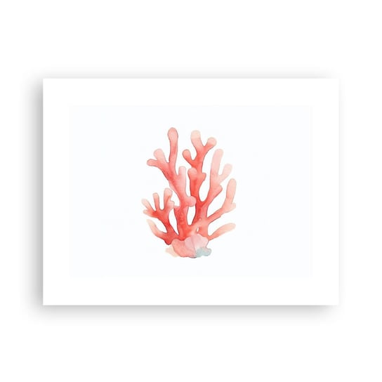 Obraz - Plakat - Koral koloru koralowego - 40x30cm - Rafa Koralowa Nadmorski Minimalizm - Foto Plakaty na ścianę bez ramy - Plakat do Salonu Sypialni ARTTOR ARTTOR
