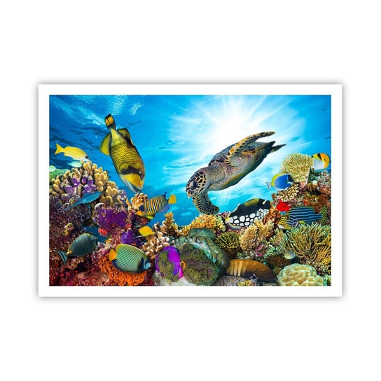 Obraz - Plakat - Koralowa promenada - 100x70cm - Rafa Koralowa Morze Podwodny Świat - Foto Plakaty bez ramy na ścianę do Salonu Sypialni ARTTOR ARTTOR
