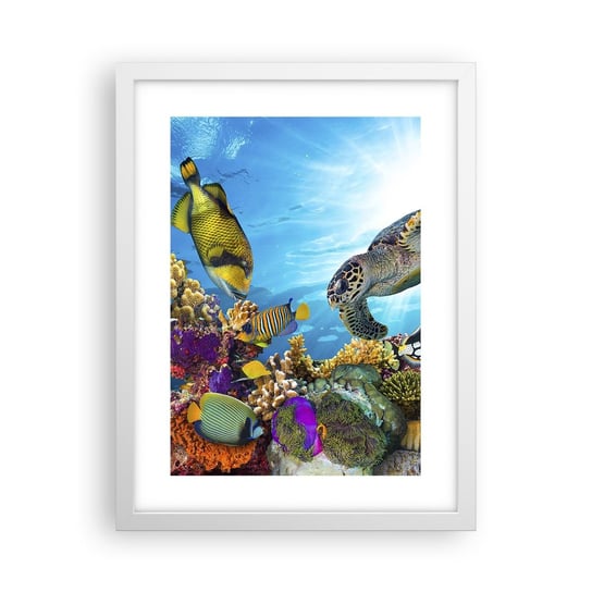 Obraz - Plakat - Koralowa promenada - 30x40cm - Rafa Koralowa Morze Podwodny Świat - Foto Plakaty na ścianę w ramie białej - Plakat do Salonu Sypialni ARTTOR ARTTOR