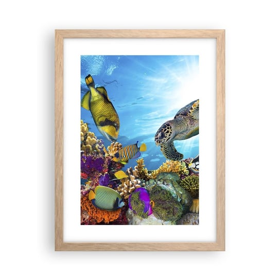 Obraz - Plakat - Koralowa promenada - 30x40cm - Rafa Koralowa Morze Podwodny Świat - Foto Plakaty na ścianę w ramie jasny dąb - Plakat do Salonu Sypialni ARTTOR ARTTOR