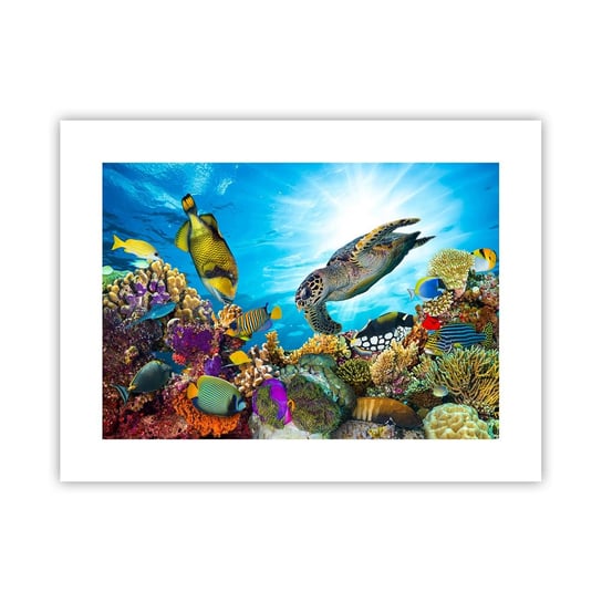 Obraz - Plakat - Koralowa promenada - 40x30cm - Rafa Koralowa Morze Podwodny Świat - Foto Plakaty na ścianę bez ramy - Plakat do Salonu Sypialni ARTTOR ARTTOR