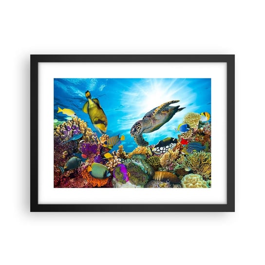 Obraz - Plakat - Koralowa promenada - 40x30cm - Rafa Koralowa Morze Podwodny Świat - Foto Plakaty na ścianę w czarnej ramie - Plakat do Salonu Sypialni ARTTOR ARTTOR