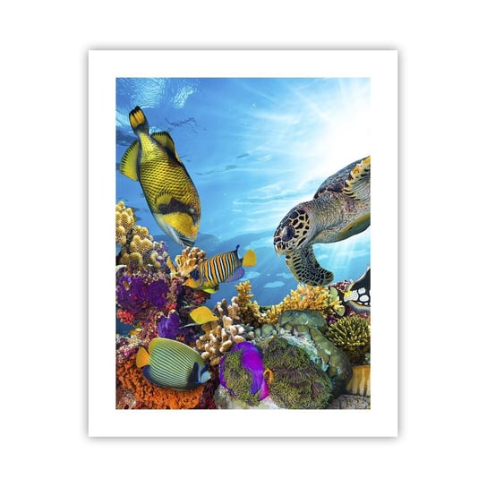 Obraz - Plakat - Koralowa promenada - 40x50cm - Rafa Koralowa Morze Podwodny Świat - Foto Plakaty bez ramy do Salonu Sypialni ARTTOR ARTTOR