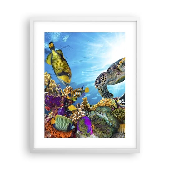 Obraz - Plakat - Koralowa promenada - 40x50cm - Rafa Koralowa Morze Podwodny Świat - Foto Plakaty w ramie koloru białego do Salonu Sypialni ARTTOR ARTTOR
