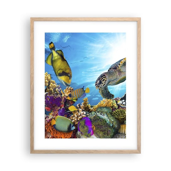 Obraz - Plakat - Koralowa promenada - 40x50cm - Rafa Koralowa Morze Podwodny Świat - Foto Plakaty w ramie koloru jasny dąb do Salonu Sypialni ARTTOR ARTTOR
