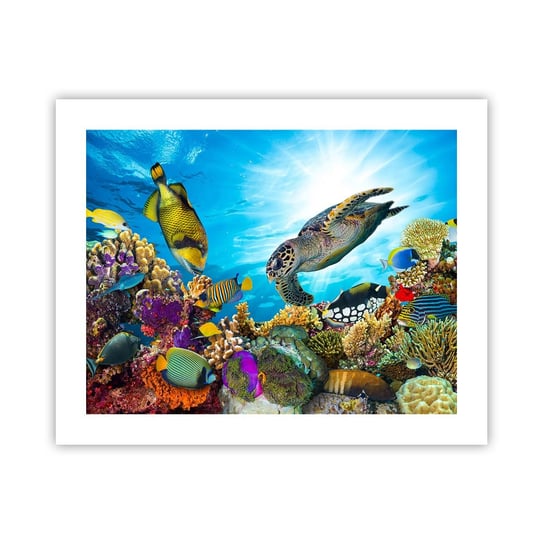 Obraz - Plakat - Koralowa promenada - 50x40cm - Rafa Koralowa Morze Podwodny Świat - Foto Plakaty bez ramy do Salonu Sypialni ARTTOR ARTTOR