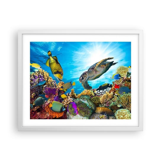 Obraz - Plakat - Koralowa promenada - 50x40cm - Rafa Koralowa Morze Podwodny Świat - Foto Plakaty w ramie koloru białego do Salonu Sypialni ARTTOR ARTTOR