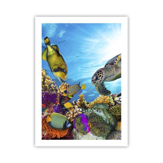 Obraz - Plakat - Koralowa promenada - 50x70cm - Rafa Koralowa Morze Podwodny Świat - Nowoczesny modny obraz Plakat bez ramy do Salonu Sypialni ARTTOR ARTTOR