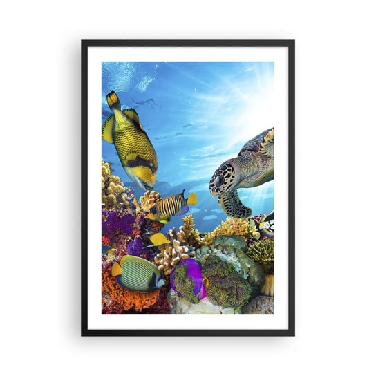Obraz - Plakat - Koralowa promenada - 50x70cm - Rafa Koralowa Morze Podwodny Świat - Nowoczesny modny obraz Plakat czarna rama ARTTOR ARTTOR