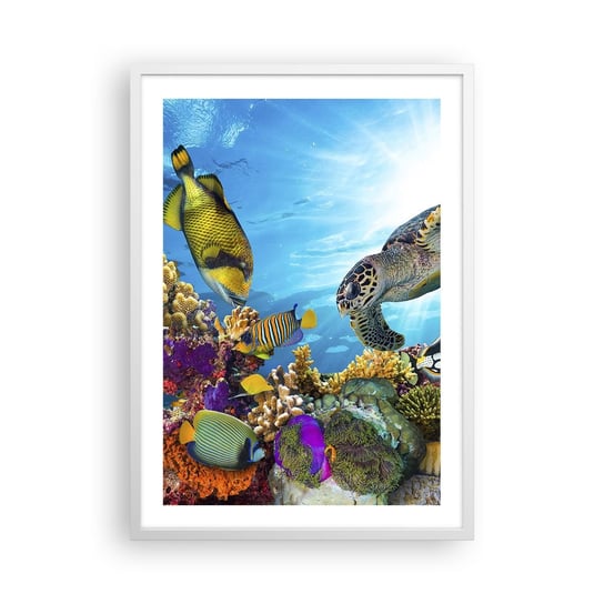 Obraz - Plakat - Koralowa promenada - 50x70cm - Rafa Koralowa Morze Podwodny Świat - Nowoczesny modny obraz Plakat rama biała ARTTOR ARTTOR