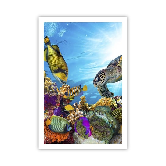 Obraz - Plakat - Koralowa promenada - 61x91cm - Rafa Koralowa Morze Podwodny Świat - Foto Plakaty na ścianę bez ramy - Plakat do Salonu Sypialni ARTTOR ARTTOR
