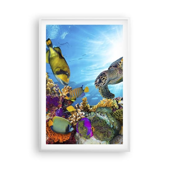 Obraz - Plakat - Koralowa promenada - 61x91cm - Rafa Koralowa Morze Podwodny Świat - Foto Plakaty na ścianę w ramie białej - Plakat do Salonu Sypialni ARTTOR ARTTOR