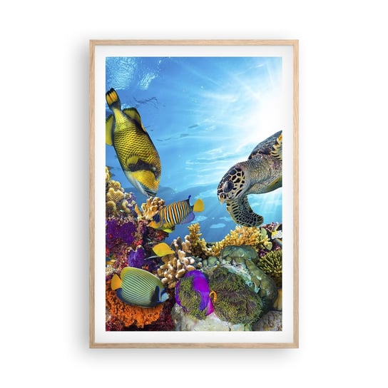 Obraz - Plakat - Koralowa promenada - 61x91cm - Rafa Koralowa Morze Podwodny Świat - Foto Plakaty na ścianę w ramie jasny dąb - Plakat do Salonu Sypialni ARTTOR ARTTOR