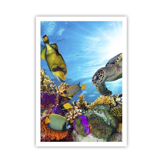 Obraz - Plakat - Koralowa promenada - 70x100cm - Rafa Koralowa Morze Podwodny Świat - Foto Plakaty bez ramy na ścianę do Salonu Sypialni ARTTOR ARTTOR