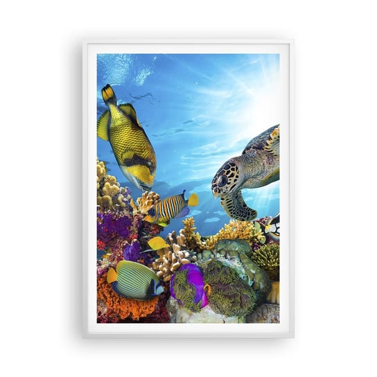 Obraz - Plakat - Koralowa promenada - 70x100cm - Rafa Koralowa Morze Podwodny Świat - Foto Plakaty w ramie koloru białego do Salonu Sypialni ARTTOR ARTTOR