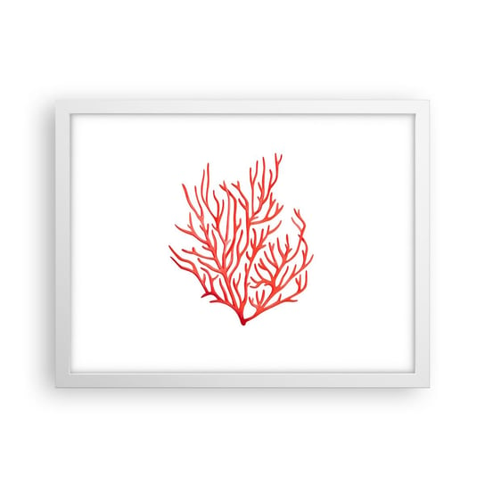 Obraz - Plakat - Koralowy filigran - 40x30cm - Rafa Koralowa Nadmorski Minimalistyczny - Foto Plakaty na ścianę w ramie białej - Plakat do Salonu Sypialni ARTTOR ARTTOR
