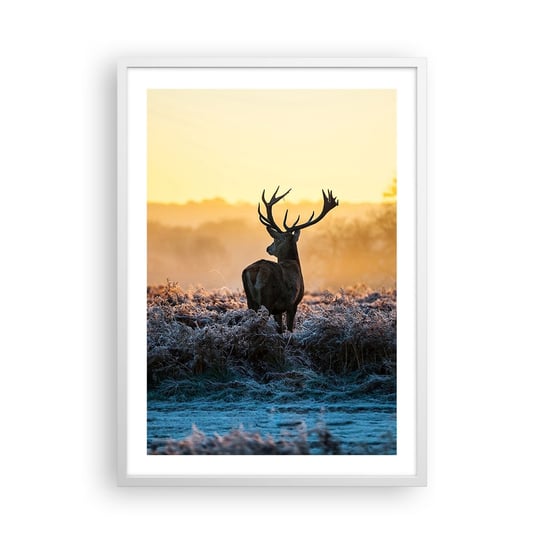 Obraz - Plakat - Koronowany na swoich włościach - 50x70cm - Krajobraz Zwierzęta Jeleń - Nowoczesny modny obraz Plakat rama biała ARTTOR ARTTOR