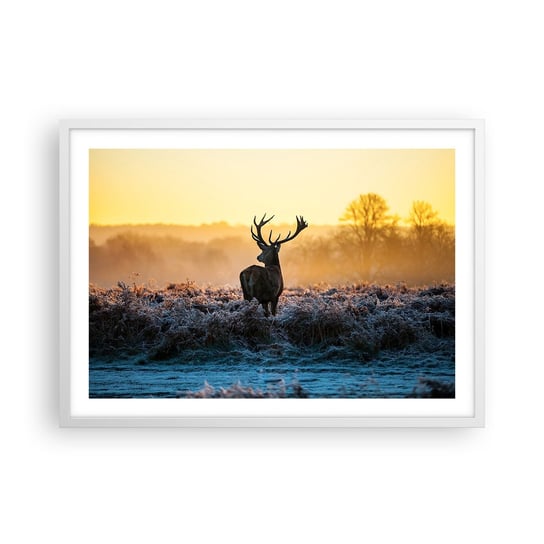 Obraz - Plakat - Koronowany na swoich włościach - 70x50cm - Krajobraz Zwierzęta Jeleń - Nowoczesny modny obraz Plakat rama biała ARTTOR ARTTOR