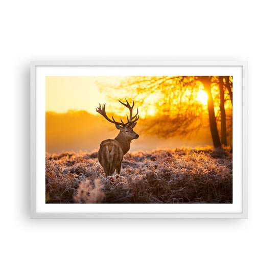 Obraz - Plakat - Król jesiennego lasu - 70x50cm - Krajobraz Jeleń Natura - Nowoczesny modny obraz Plakat rama biała ARTTOR ARTTOR