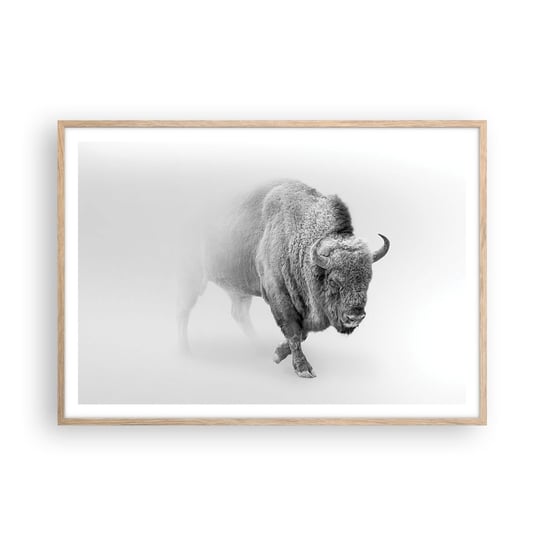 Obraz - Plakat - Król prerii - 100x70cm - Żubr Zwierzęta Bizon - Foto Plakaty w ramie koloru jasny dąb do Salonu Sypialni ARTTOR ARTTOR