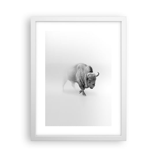 Obraz - Plakat - Król prerii - 30x40cm - Żubr Zwierzęta Bizon - Foto Plakaty na ścianę w ramie białej - Plakat do Salonu Sypialni ARTTOR ARTTOR