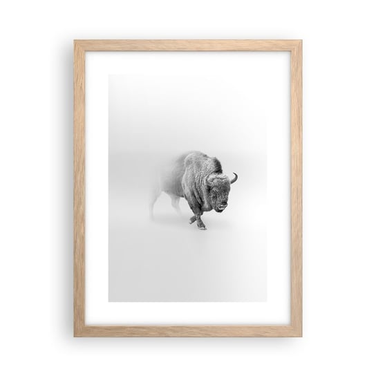 Obraz - Plakat - Król prerii - 30x40cm - Żubr Zwierzęta Bizon - Foto Plakaty na ścianę w ramie jasny dąb - Plakat do Salonu Sypialni ARTTOR ARTTOR