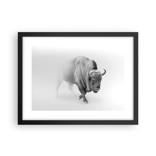 Obraz - Plakat - Król prerii - 40x30cm - Żubr Zwierzęta Bizon - Foto Plakaty na ścianę w czarnej ramie - Plakat do Salonu Sypialni ARTTOR ARTTOR