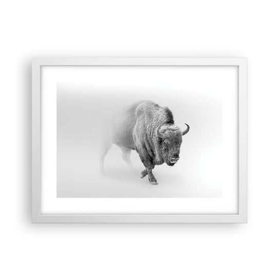 Obraz - Plakat - Król prerii - 40x30cm - Żubr Zwierzęta Bizon - Foto Plakaty na ścianę w ramie białej - Plakat do Salonu Sypialni ARTTOR ARTTOR