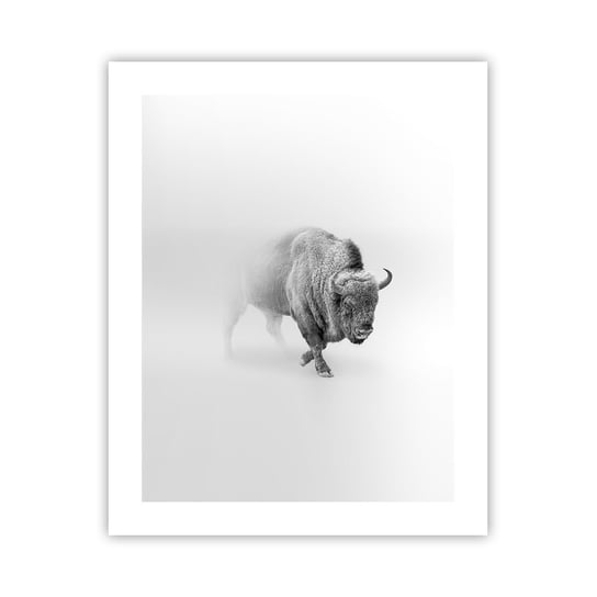 Obraz - Plakat - Król prerii - 40x50cm - Żubr Zwierzęta Bizon - Foto Plakaty bez ramy do Salonu Sypialni ARTTOR ARTTOR