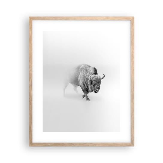 Obraz - Plakat - Król prerii - 40x50cm - Żubr Zwierzęta Bizon - Foto Plakaty w ramie koloru jasny dąb do Salonu Sypialni ARTTOR ARTTOR