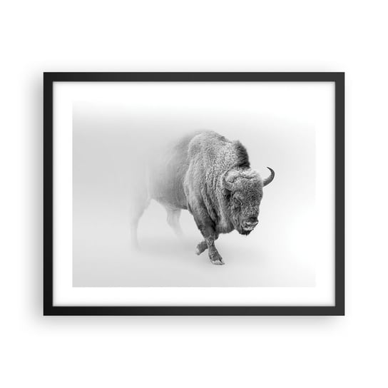 Obraz - Plakat - Król prerii - 50x40cm - Żubr Zwierzęta Bizon - Foto Plakaty w ramie koloru czarnego do Salonu Sypialni ARTTOR ARTTOR