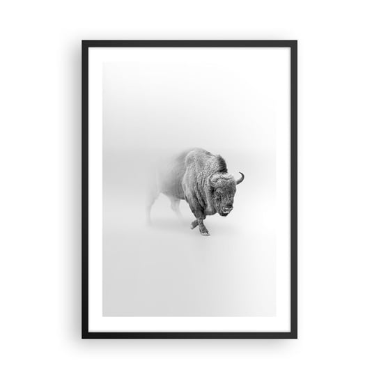 Obraz - Plakat - Król prerii - 50x70cm - Żubr Zwierzęta Bizon - Nowoczesny modny obraz Plakat czarna rama ARTTOR ARTTOR