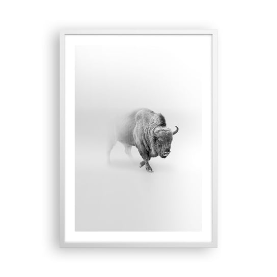 Obraz - Plakat - Król prerii - 50x70cm - Żubr Zwierzęta Bizon - Nowoczesny modny obraz Plakat rama biała ARTTOR ARTTOR