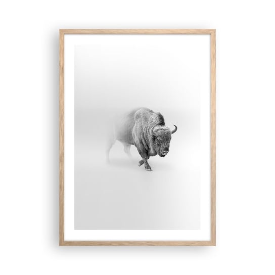 Obraz - Plakat - Król prerii - 50x70cm - Żubr Zwierzęta Bizon - Nowoczesny modny obraz Plakat rama jasny dąb ARTTOR ARTTOR