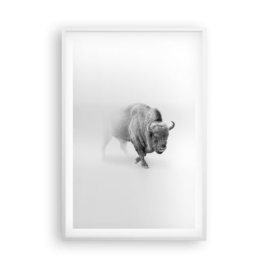 Obraz - Plakat - Król prerii - 61x91cm - Żubr Zwierzęta Bizon - Foto Plakaty na ścianę w ramie białej - Plakat do Salonu Sypialni ARTTOR ARTTOR