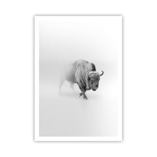 Obraz - Plakat - Król prerii - 70x100cm - Żubr Zwierzęta Bizon - Foto Plakaty bez ramy na ścianę do Salonu Sypialni ARTTOR ARTTOR