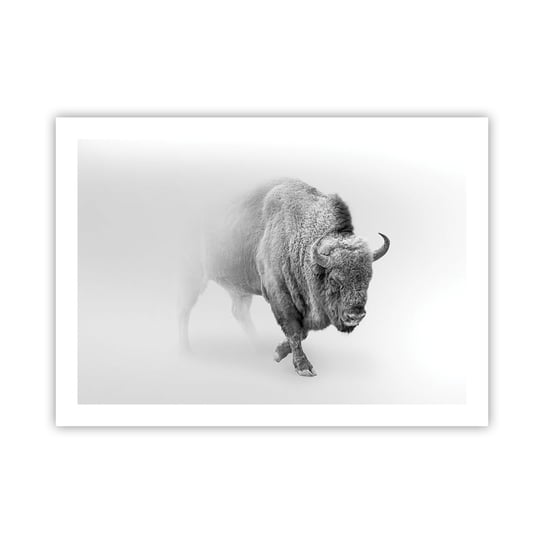 Obraz - Plakat - Król prerii - 70x50cm - Żubr Zwierzęta Bizon - Nowoczesny modny obraz Plakat bez ramy do Salonu Sypialni ARTTOR ARTTOR