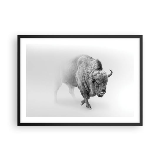 Obraz - Plakat - Król prerii - 70x50cm - Żubr Zwierzęta Bizon - Nowoczesny modny obraz Plakat czarna rama ARTTOR ARTTOR