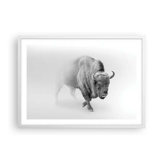 Obraz - Plakat - Król prerii - 70x50cm - Żubr Zwierzęta Bizon - Nowoczesny modny obraz Plakat rama biała ARTTOR ARTTOR